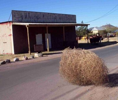 tumbleweed